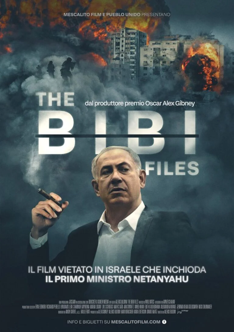 Locandina di The Bibi Files